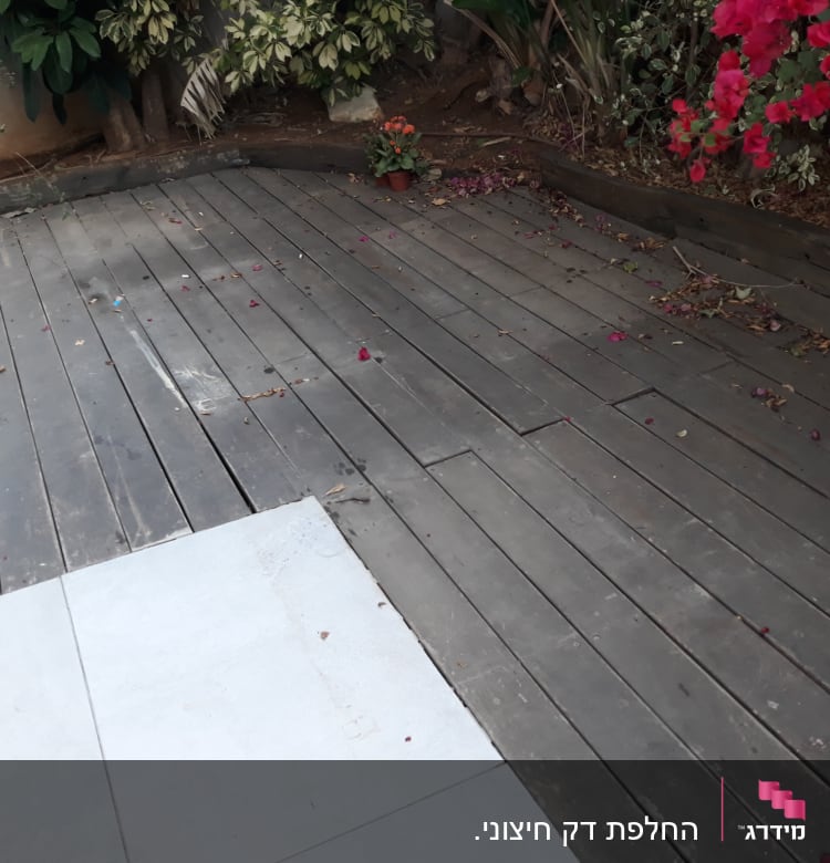 דק עץ עם עלים יבשים ופרחים אדומים